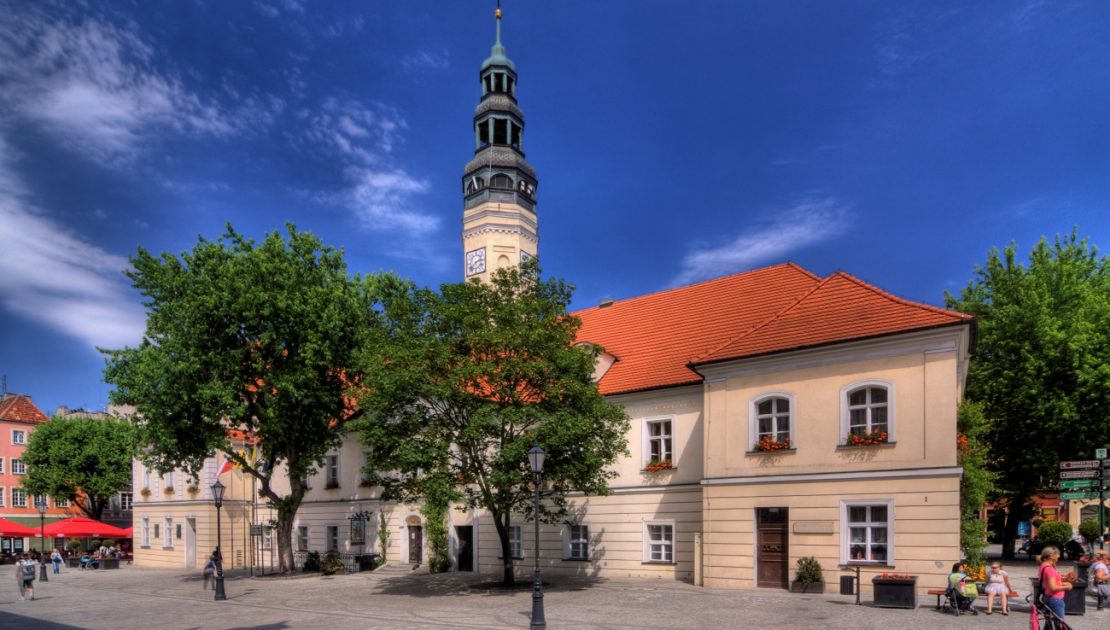 praca w Zielonej Górze