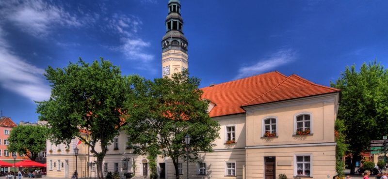 praca w Zielonej Górze